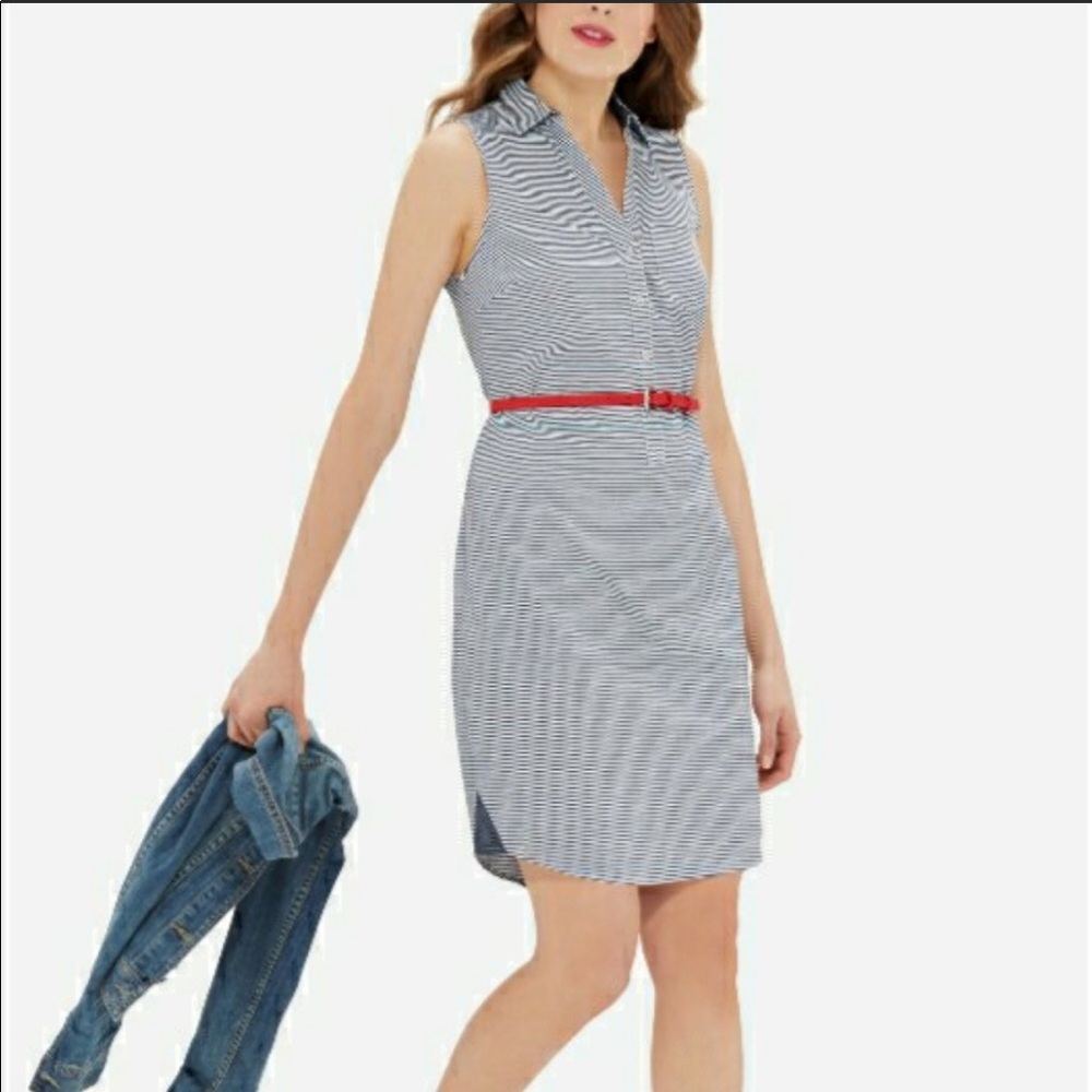 Ashton Sleeveless Shirt Dress by The Limited